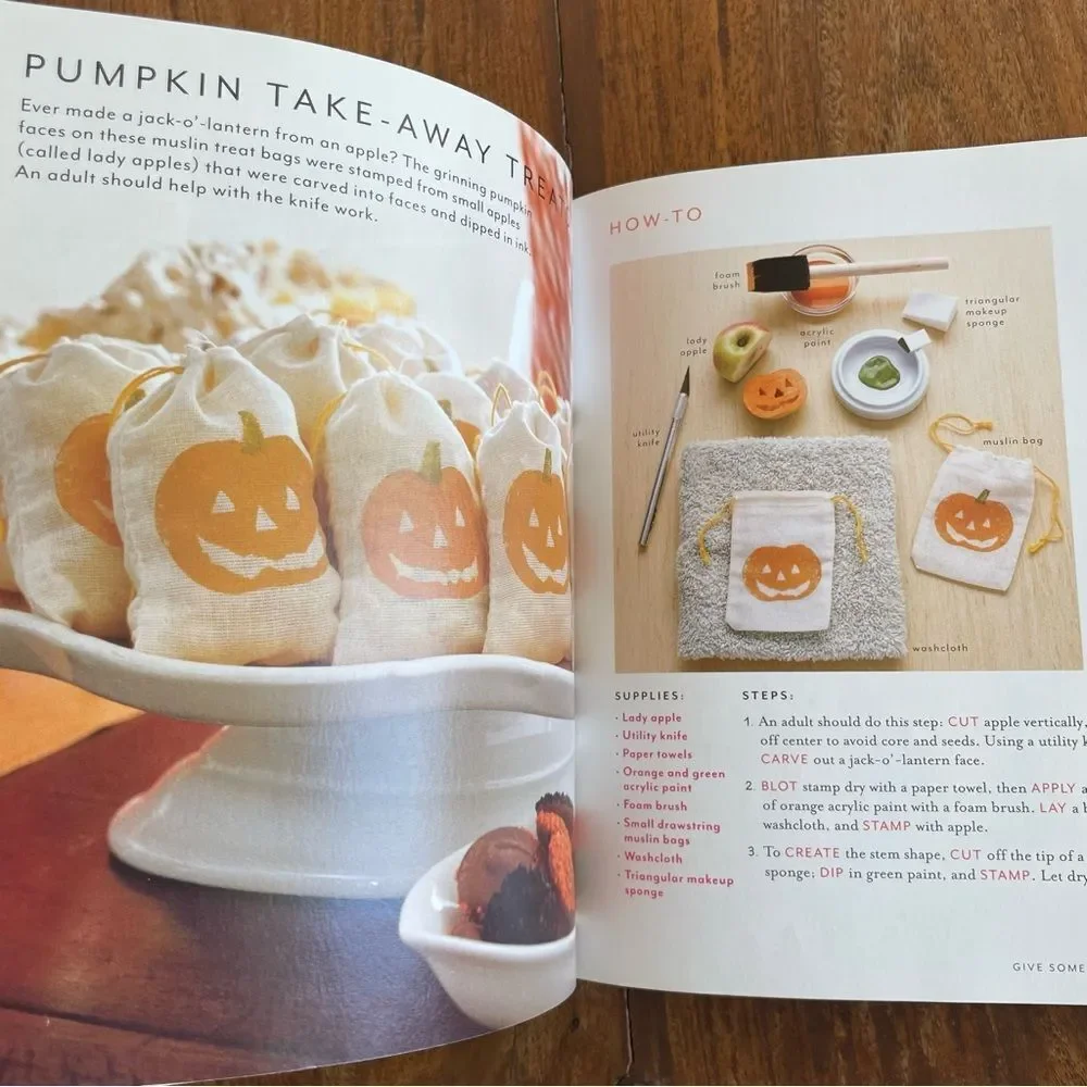 Martha Stewart Colorful Crafts for Kids Book Recipes Ideas Projects